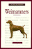 A New Owner's Guide to Weimaraners