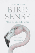 Bird Sense: What it's Like to be a Bird