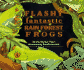 Flashy, Fantastic Rain Forest Frogs