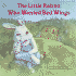 Little Rabbit Who Wanted Red Wings