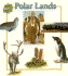 Polar Lands Sb-What about
