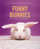 Funny Bunnies: 20 Assorted Notecards and Envelopes