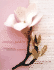 Emma's Garden Notecards