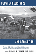 Between Resistance and Revolution: Cultural Politics and Social Protest