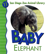 Baby Elephant