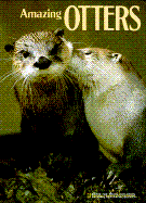 Amazing Otters