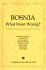 Bosnia: What Went Wrong?