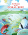 At Home in the Coral Reef