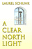 A Clear North Light