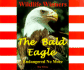 The Bald Eagle: Endangered No More