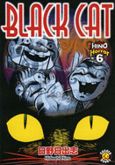 Black Cat