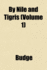 By Nile and Tigris (Volume 1)