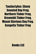 Northern Tinker Frog