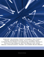Articles on Sparidae, Including: White Steenbras, Red Porgy, Panga, Sheepshead (Fish), Scup, Calamus (Fish), Japanese Black Porgy, Australasian Snapper, Pagellus, Pagellus Erythrinus, Red Sea Bream, Gilt-Head Bream, Lithognathus, Pagrus