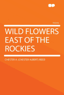 Wild flowers east of the Rockies