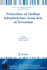 Protection of Civilian Infrastructure from Acts of Terrorism