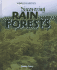 Discovering Rain Forests