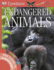 Endangered Animals