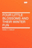 Four Little Blossoms and Their Winter Fun Her Four Little Blossoms Series # 3