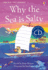 Why the Sea is Salty