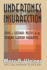 Undertones of Insurrection: Music & Cultural Politics in the Modern German Narrative