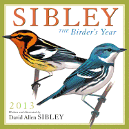 Sibley: the Birder's Year 2013 Wall (Calendar)