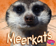 Meerkats
