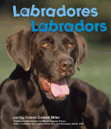 Labradores/Labradors