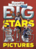 Big Stars, Big Pictures