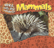Mammals