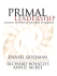 Primal Leadership