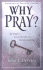 Why Pray?: 40 Days--From Words to Relationship