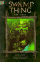 The Curse