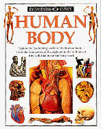 Human Body