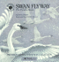 Swan Flyway