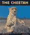 The Cheetah: Fast as Lightning