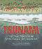 Tsunami
