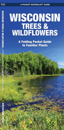 Wisconsin Trees & Wildflowers: An Introduction to Familiar Species