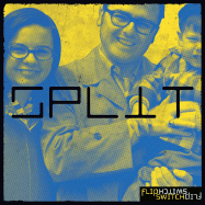 Split: A Graphic Reality Check for Teens Dealing with Divorce