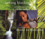 Music as Medicine