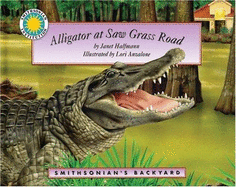 Alligator at Saw Grass Road