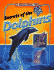 Secrets of the Dolphins