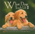 What Dogs Teach Us II: More! Life's Lessons Learned from Our Best Friends