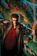 Angel: After the Fall v. 1