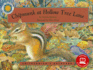 Chipmunk at Hollow Tree Lane