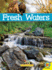 Fresh Waters with Code