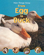 From Egg to Duck