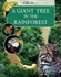 A Giant Tree in the Rainforest