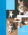 My Cat's Journal
