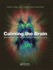 Calming the Brain: Benzodiazepines and Related Drugs from Laboratory to Clinic